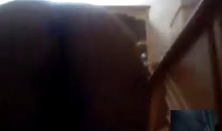 الاغ جوجه بعد از بازی سکسیاندروید از blowjob با پسر لعنتی