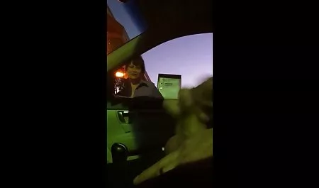 بوچ نوازش گربه موی نشسته روی صندلی را نوازش می دانلود بازی های سکسی اندروید کند