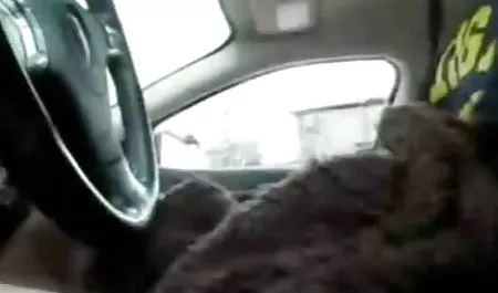 سبزه از یک خروس بازی سکسی اندروید دانلود سخت در گربه اش ناله می کند